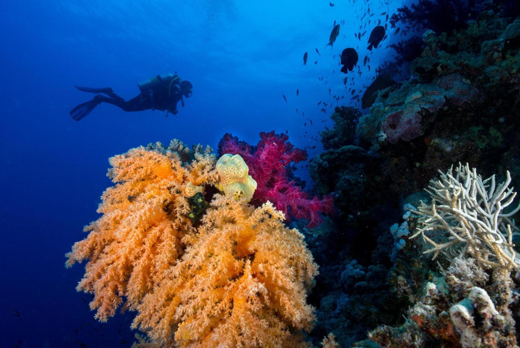 Club Paradisio El Gouna Red Sea Hurghada Esterno foto